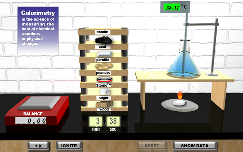 Calorimetry simulation